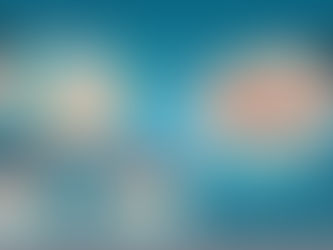 Why Franchise is good 