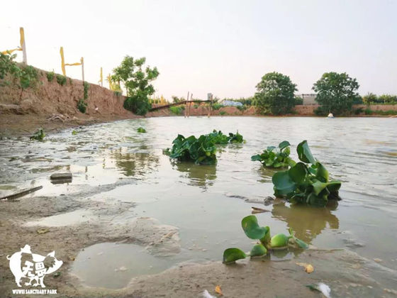 Did you have your melon today? [Wuwei Inhabitants] Daily Meeting NO.4