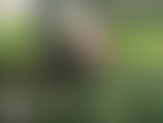 [Wuwei Inhabitants] Daily Meeting NO.2