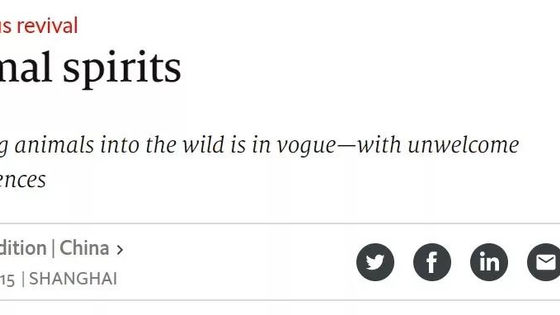 每年2亿被放生的生命从何而来?到哪里去?