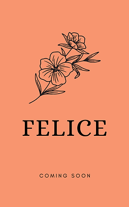 Minimalist Ilustration Rose Novel Book Cover (9).png