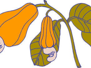 Best Foods for Menopause Symptoms