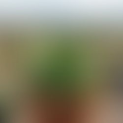 10 Best Natural Ingredients for Healthier Skin