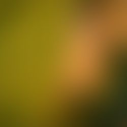 Close up of a life with water droplets