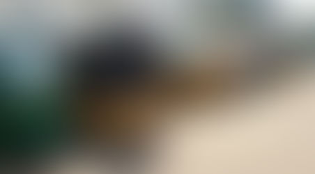 SYNACOTATRI-Togo : Le souffle de la refondation pour une meilleure gouvernance