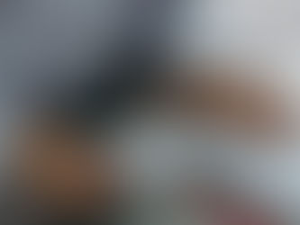 永續發展視角下的專業精進與記帳士養成