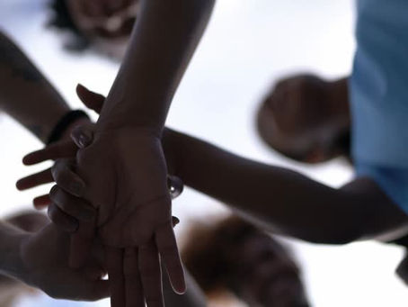 ¿Qué somos y quiénes somos en TDM?