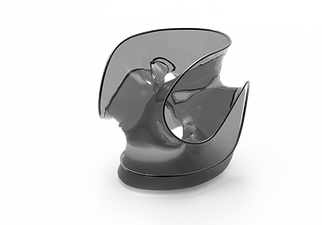 3dFACEMODERL.png