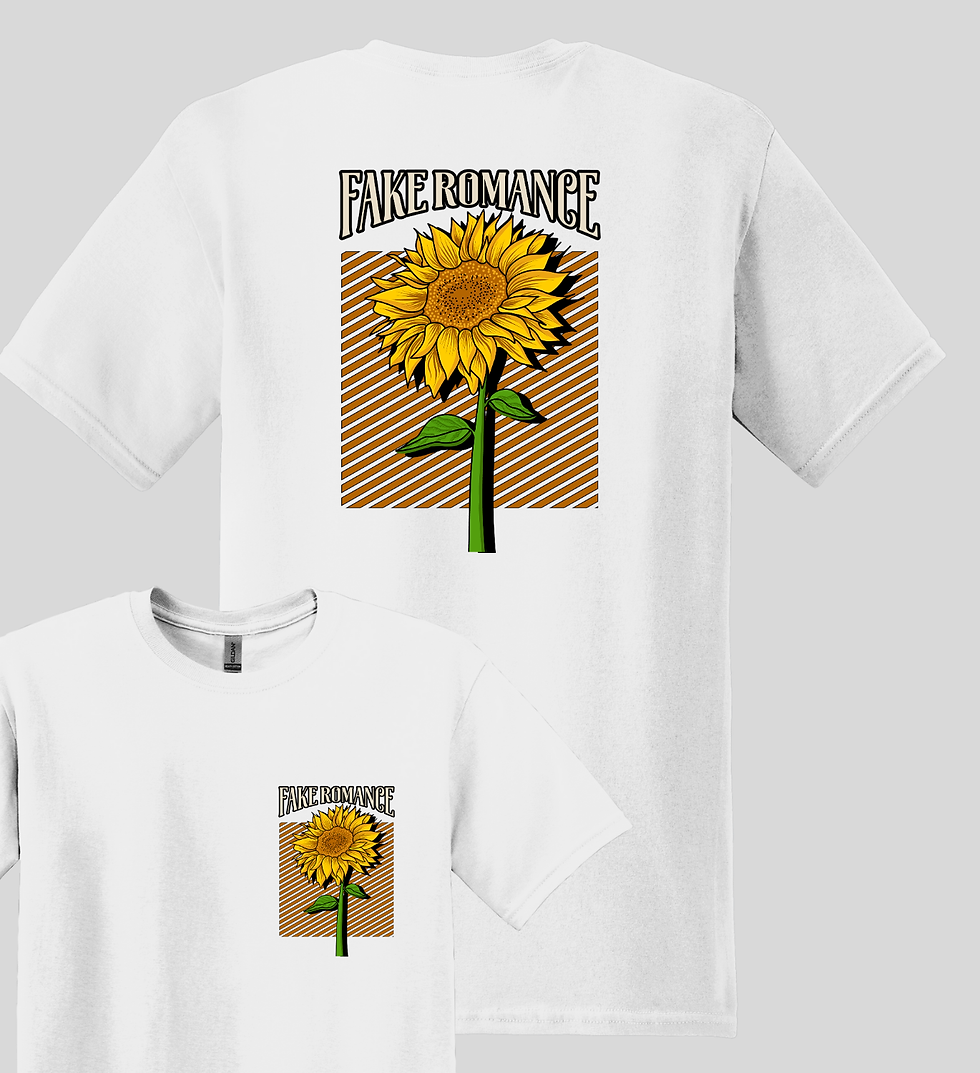 Fake Romance