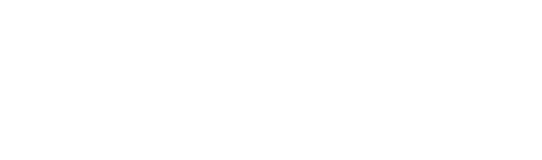 New-Lish-Logo.gif