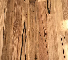 Hickory
