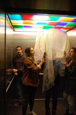 2016 12/ 12 Brussels/Brigittines