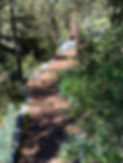 IMG_1450.JPEG