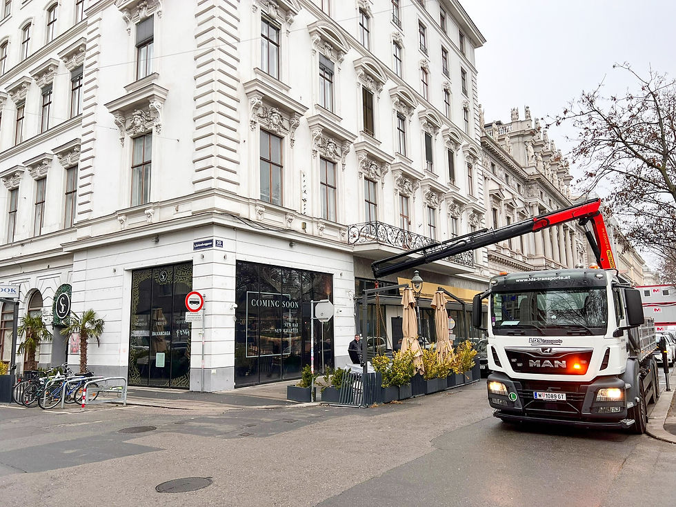 Transporte von LDS transporte