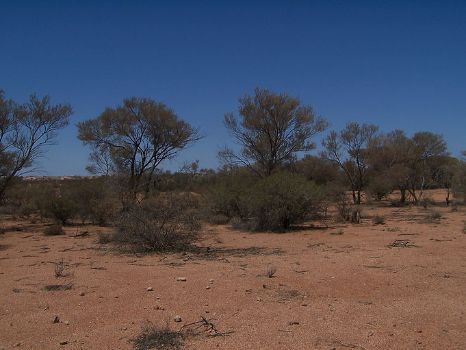 Australien