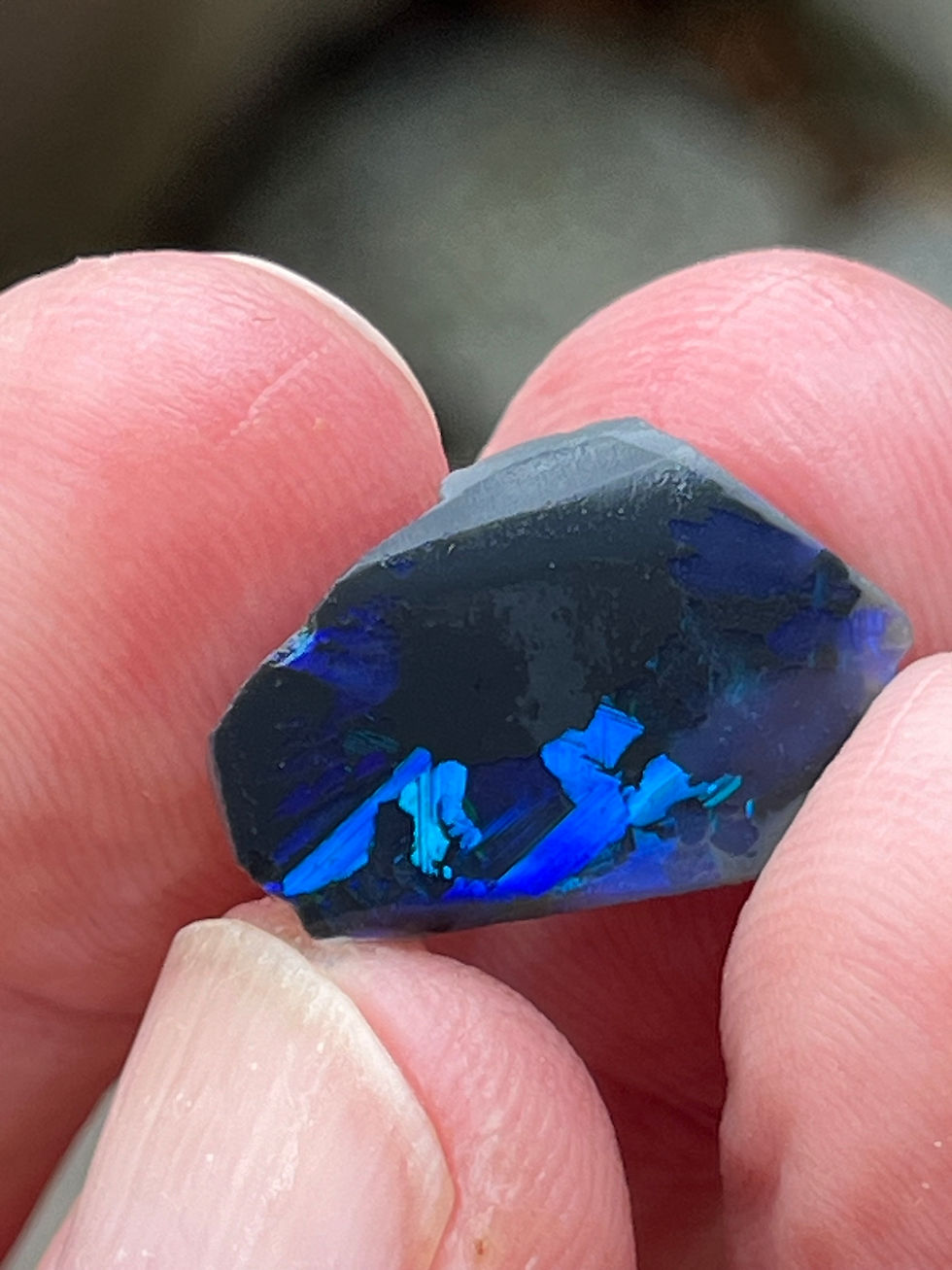 Miniaturbild: Schwarzopal