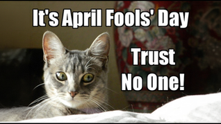 Funniest Things We Saw Today