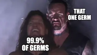 Funniest Things We Saw Today