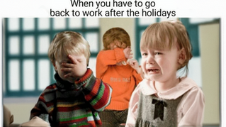 Funniest Things We Saw Today