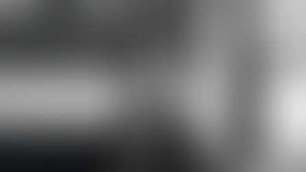 Funniest Things We Saw Today