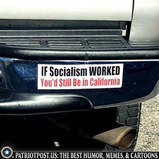 Funniest Things We Saw Today