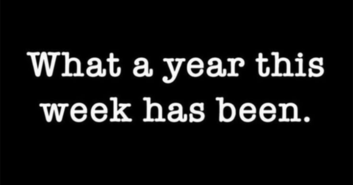 Funniest Things We Saw Today