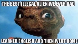 Funniest Things We Saw Today