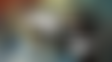 Funniest Things We Saw Today