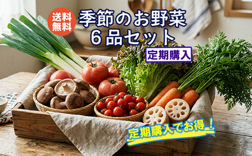 季節のお野菜6品詰め合わせセット（定期購入）【送料無料】 | マルト