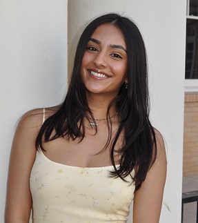 Screenshot 2025-03-22 at 3.06.45 PM.png