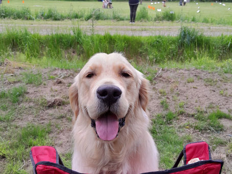 Välkommen till Kungälvs BK:s klubbläger 11–14 juni