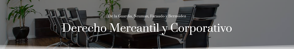 Derecho Mercantil BAnner Pic.png