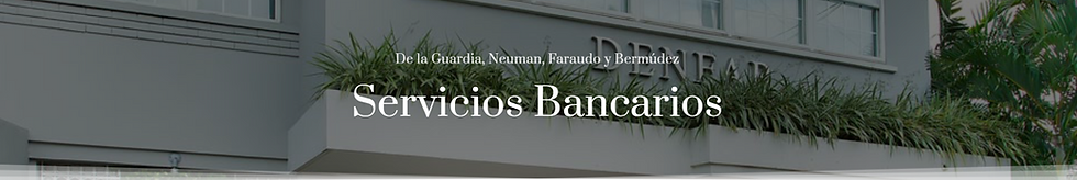 Servicios Bancarios Banner pic.png