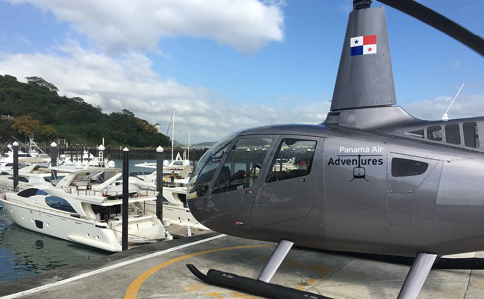 2016 Robinson R66 Turbine Marine-min.jpe