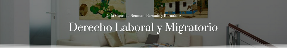 Derecho Laboral banner pic.png