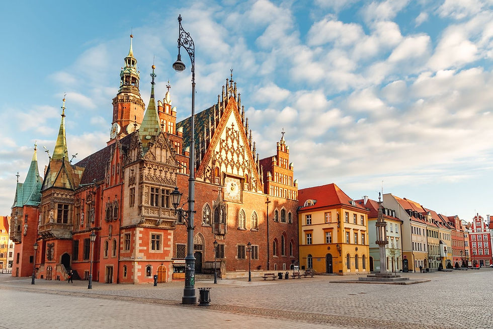 grafika przewodnia - Wrocław.jpeg