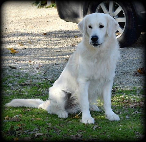 wyatt16 - Copy.jpg