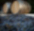 barrells and grapes.jpg