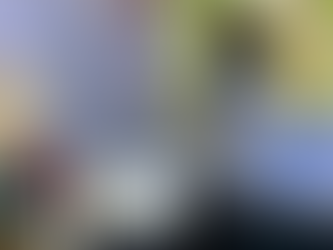 A pesquisadora Heloísa F. dos Santos, orientada pela professora Karin Marins, apresentou o trabalho na sessão "Cidades Sustentáveis e Inteligentes do "32º SIICUSP