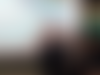 Dissertação: Conjunto de diretrizes ao investidor imobiliário no contrato Built to Suit com reforma