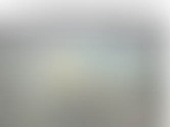 A tese de Emílio Bertholdo, orientada pela Profa. Dra. Karin Marins, que utiliza Redes Neurais Artificiais (RNA), ajuda o setor público e o setor privado a tomarem decisões melhores