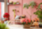 6-plantes-d-interieur-fleuries-a-adopter-pour-l-hiver.jpg