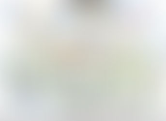 11/29/2017 "Shadowing Mr. Zellner"