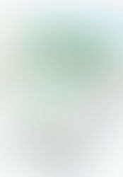 02/01/2026 "Park st.Bridge"