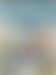 03/02/2020 "Traffic Duty"