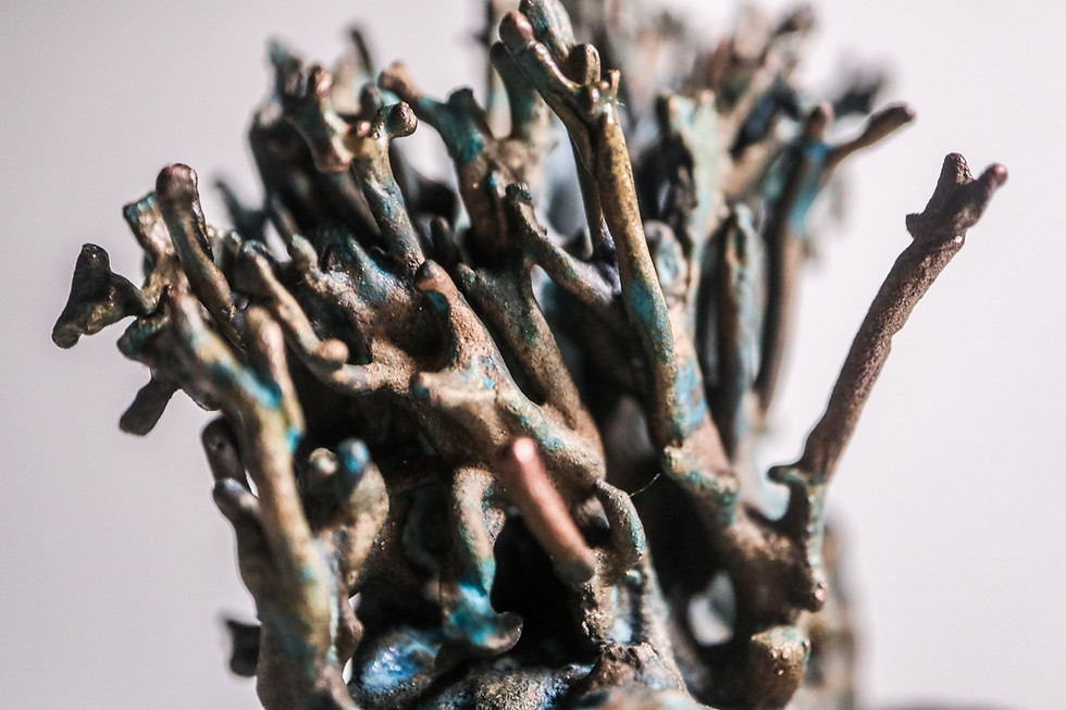 Thumbnail: ramaria I