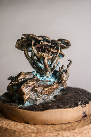 flammulina velutipes