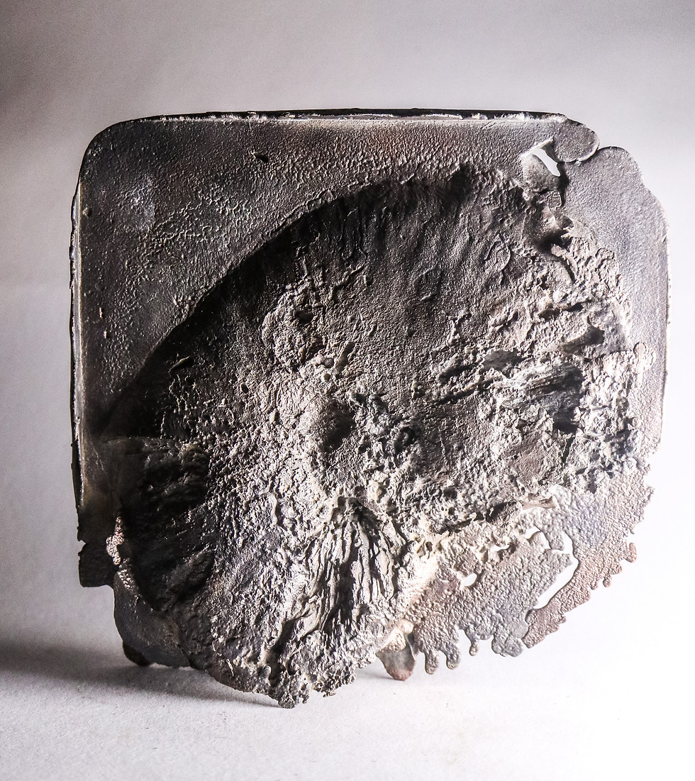 Thumbnail: fossile