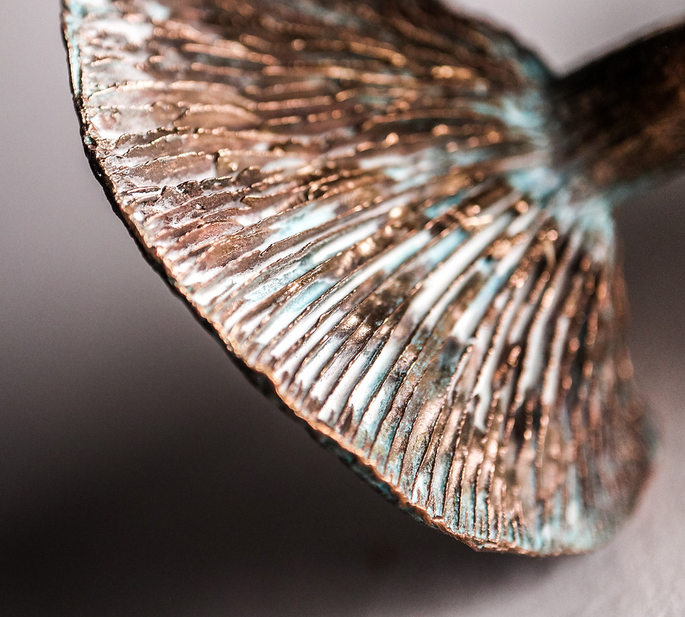 Thumbnail: lactarius II