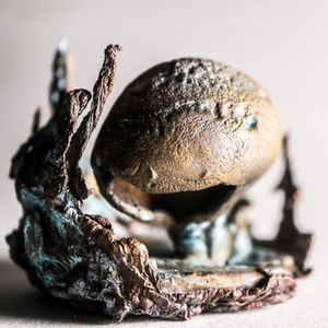 lycoperdon